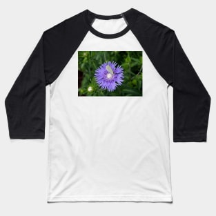 Stokes Aster With White Butterfly Baseball T-Shirt